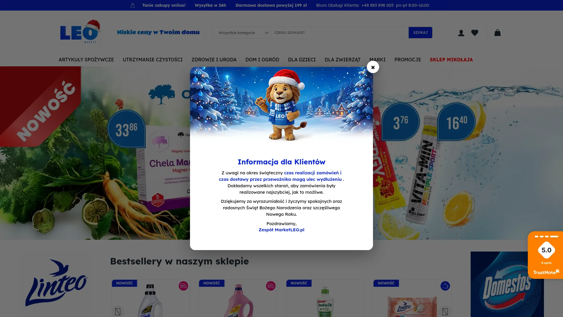 Business website screenshot