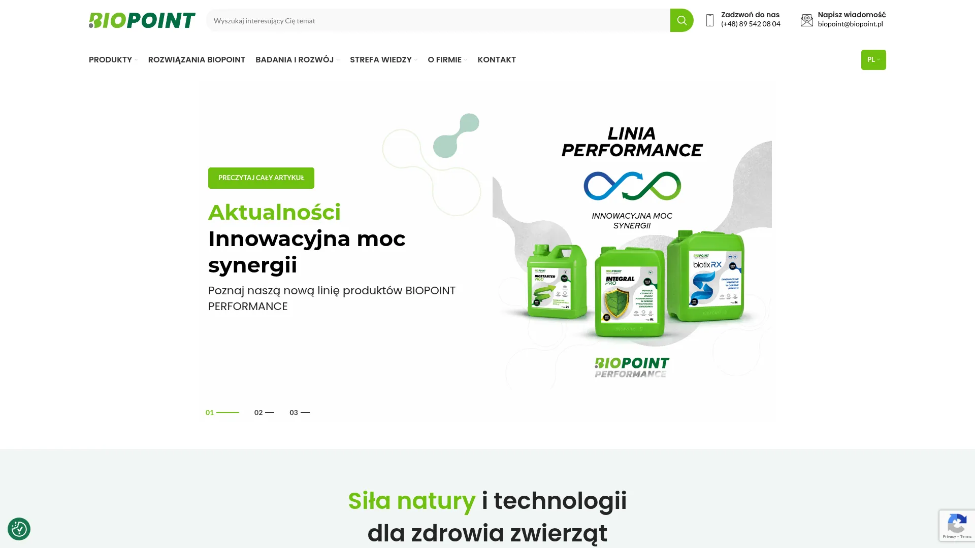 Business website screenshot