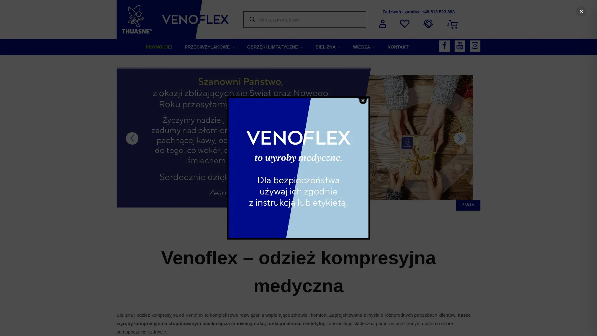 Business website screenshot